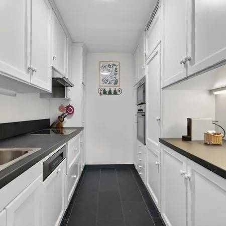 Casa Elegante, Vista Panoramica, 4 Camere, Chesa Saura * La Punt-Chamues-ch